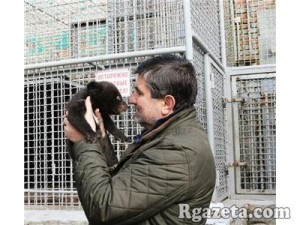 � ���������� �������� �������� ����������� ��������