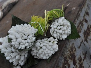 � ������� �������� ������ � ������� �����