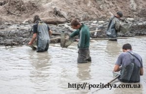 ����������� ����. �������� �������� ����������