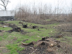 ������ ��������? �� ����, �������!