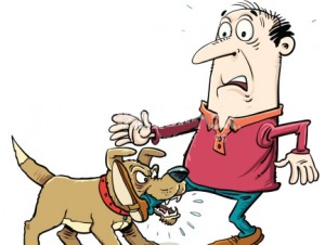 ������� ������� ������. ������ �� ������� ��������?