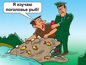 ��������� ����������