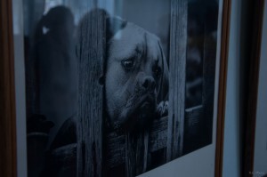 � ��������� ��������� ������������ � �������� ��������