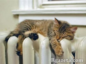 � ������� � ���� ������ �� ����� ��� ��������� ��������� ����� �����