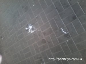 ������ � ������!�