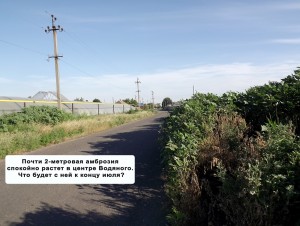 �������� ���-��� ��������, �� ������� �������� � ��� ���� �� ������