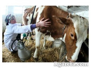 ������� ������ ������ ���� ��� �� ������ � ����