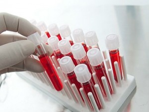 ���� ������ �������� ����� ���������� �� ������� �����