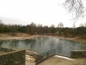 ���� ����� �� ���!