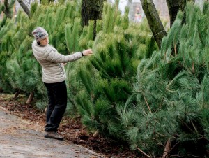 � ���� ���� ���������� ���� ������� ����� 2-� ������ ����� ������ 140 ������