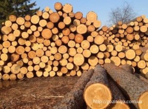 �������� ������ �����