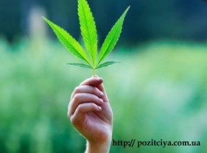 ����������� ���������: ������������ ������