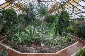 Запорізький міський дитячий ботанічний сад – унікальне явище не лише для Запоріжжя