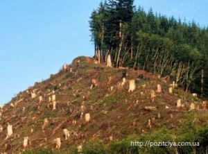 ������ � ���������� �������: ����� �����!