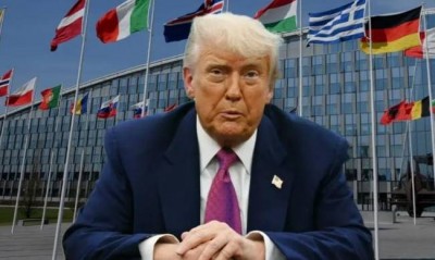        ,      ,  NYT