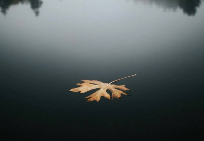 Яке 21 листопада свято, що відмічають в Україні та світі в цей день, яке свято церковне, прикмети Яке 21 листопада свято, що відмічають в Україні та світі в цей день, яке свято церковне, прикмети