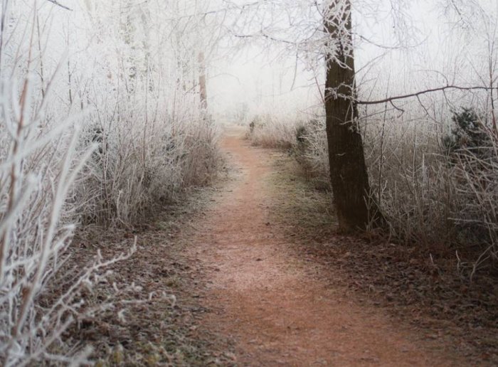 Яке 14 грудня свято, що відмічають в Україні та світі в цей день, яке свято церковне, прикмети Яке 14 грудня свято, що відмічають в Україні та світі в цей день, яке свято церковне, прикмети