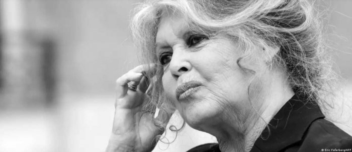 Померла легендарна французька актриса Бріжит Бардо: причина смерті та що про неї відомо Померла легендарна французька актриса Бріжит Бардо: причина смерті та що про неї відомо