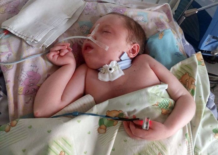 �������� ������������ ��������: �������� ����� ����� �����