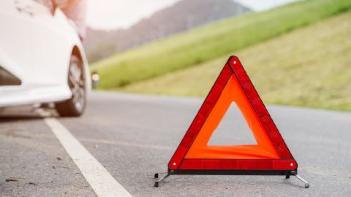 ��������, �� ����� �����: ������� ����������� ���������� ���� � ������