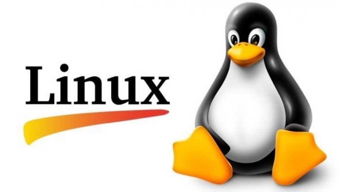 Linux ����� Windows 11: ���� ������ ������ ������������