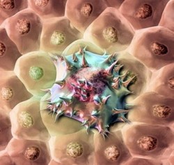 � ����������� ������� ��������� ����� 36 ����� ����������� 