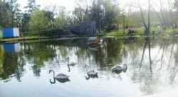 ���� �������� � ����� ���������� ��������� � ������� �������� 