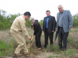 ����������� ��������, ���� ������ ������� ��������� 