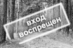 ��������������: ������� ������ �� ��������� ������������� ���� �� ����������