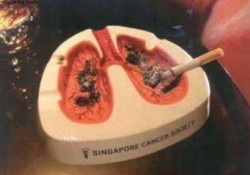 ����� �������, �������, �� �����... 