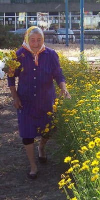 ��������� �������� � �� �������