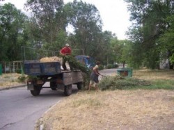 �������� �� � ���������� ����� �������� �������?