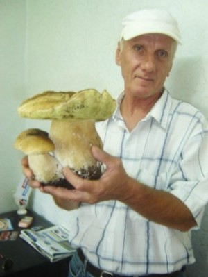 � ������������ ���������� ������ ����-������