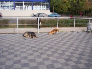 � ���������� ����� ������� �����?