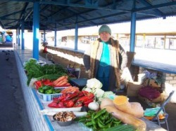 ������� ������� ����� ���