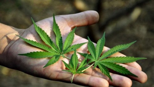 ���� � �������� — ������� �� ��������� ����������� ������� (����)