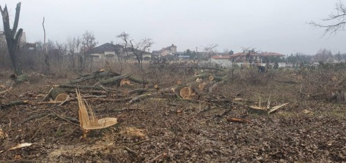 � ��������� ������� ���� «������ ���������», ���������� ����� ������ (����)