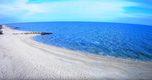 ����������� �������: ��� �������� �������� ���� � ������ (����)