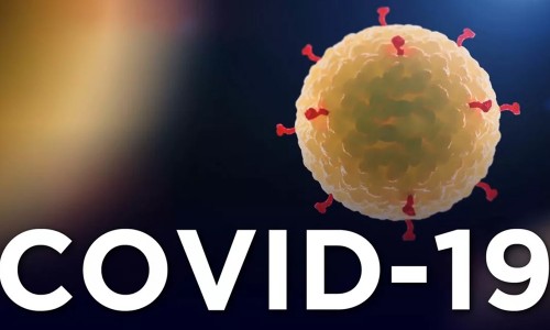     COVID-19:   ,   