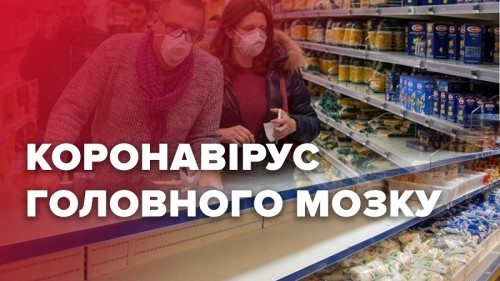 «  »:     