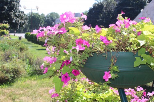 В сети показали, как в Запорожье держат в порядке парки и скверы (ФОТО)