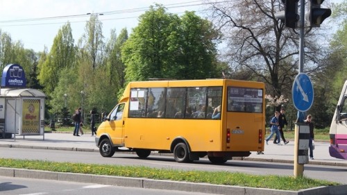 Ударил пенсионера: стали известны подробности инцидента в запорожской маршрутке