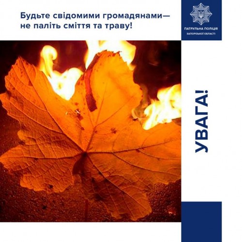 Жителям Запорожской области рассказали о новых штрафах за сжигание листьев