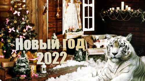   2021-2022  :   