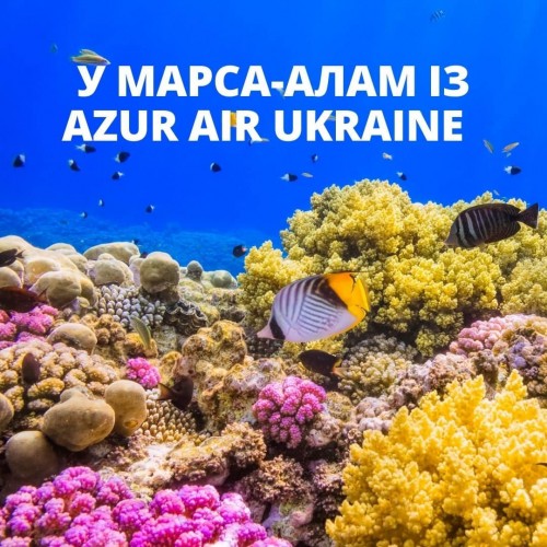 �� ������������ ��������� ������� ������ ����� �� ���������� ������: ����������