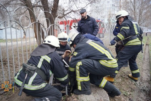 � ��������� ������� ���������� ��� ����� �� ������� 5 ������: ����������� (����)