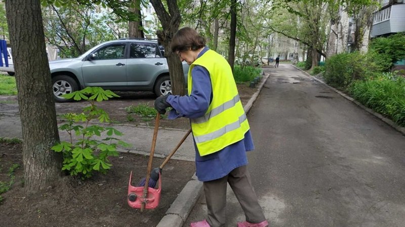 �������� ������������ ������� ����������� �� «����в��� TOLOKA FESTIVAL»