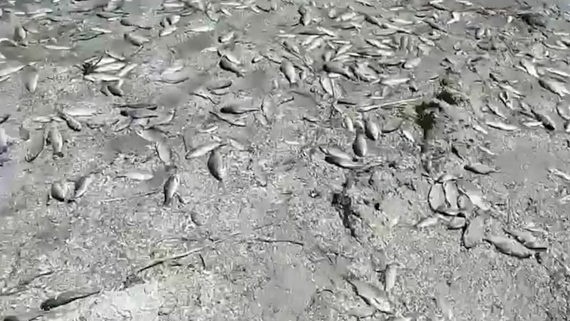 ������� ������ ��������� ���: �� ������� ������������� ��� ����