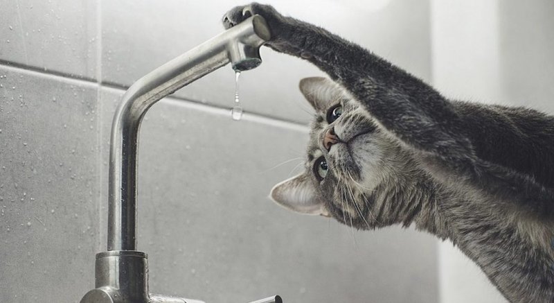 ��������� ������ � ������� �������� ���������� ��� ��������� ���������� ��������������