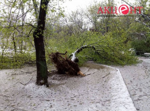 � ��������� � ����� ������ ������ ����: ����������� ������, ���������� ������� (����)